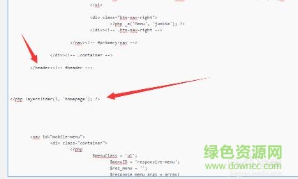 55.jpg layerslider wp