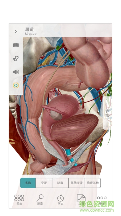 visible body安卓2020正式版 visible body2020正式版