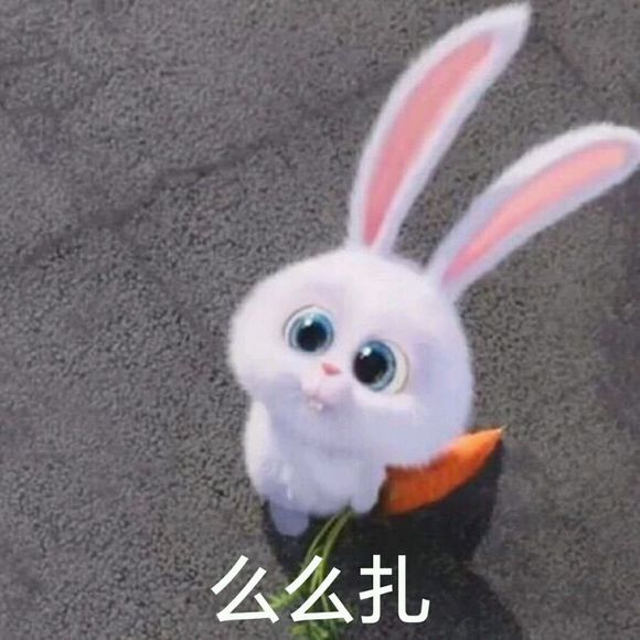 爱宠大机密小白表情包