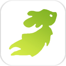 我仍然在这里等你手机版(Still Here)