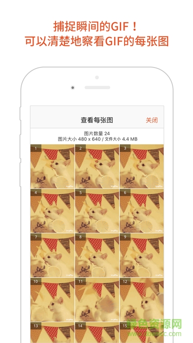 GIF Viewer(动态图相册) v3.2.2 安卓版1