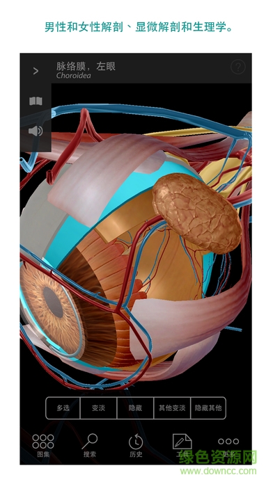 2020 visible body中文正式版 v2020.0.71 安卓汉化版3