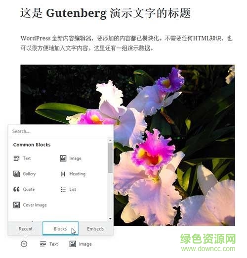 Gutenberg编辑器插件 v0.3.0 官方版0