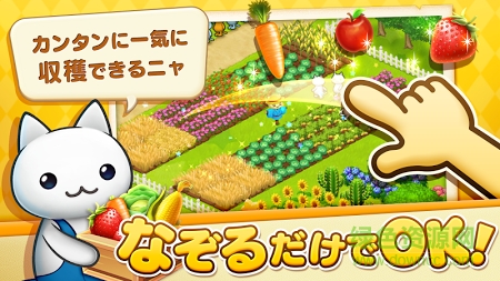 星星岛猫咪内购 v2.4.5 安卓无限钻石版2