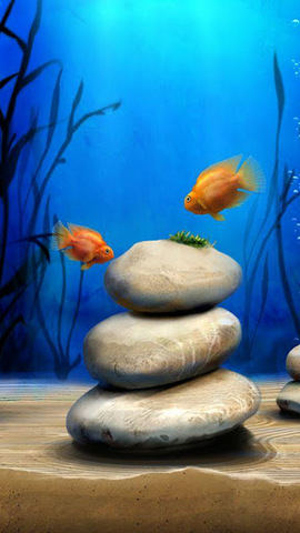 模拟水族馆内购正式版(iQuarium) v2.11 安卓无限金币版0