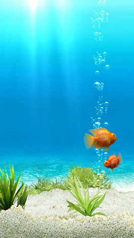 模拟水族馆内购正式版(iQuarium) v2.11 安卓无限金币版1