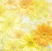 qq背景图片大全