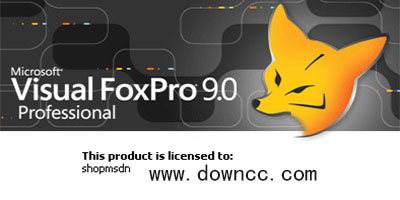 visual foxpro