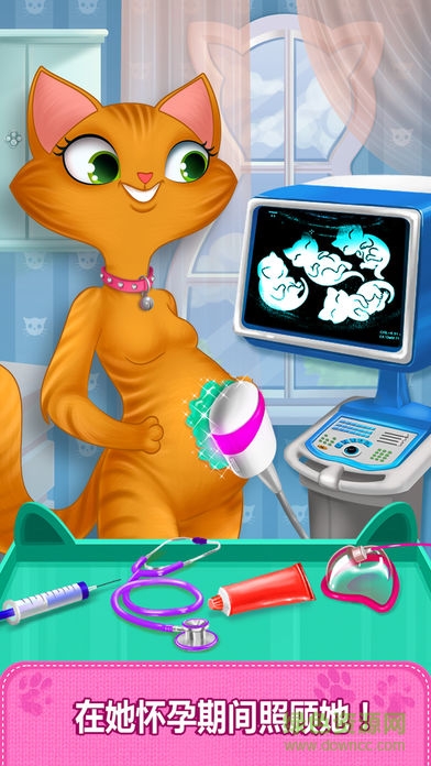 我的新生小猫游戏(My Little Cat) v1.2 安卓版1