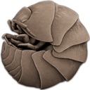 keka for mac中文版(mac解压软件)