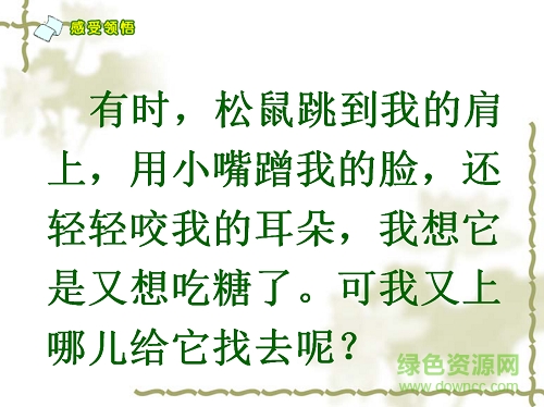 跑进家来的松鼠ppt完美版 0