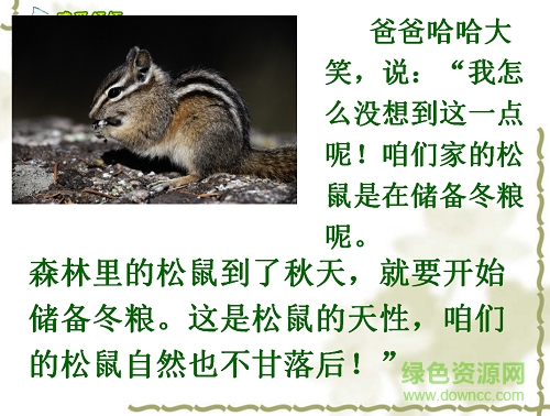 跑进家来的松鼠ppt完美版