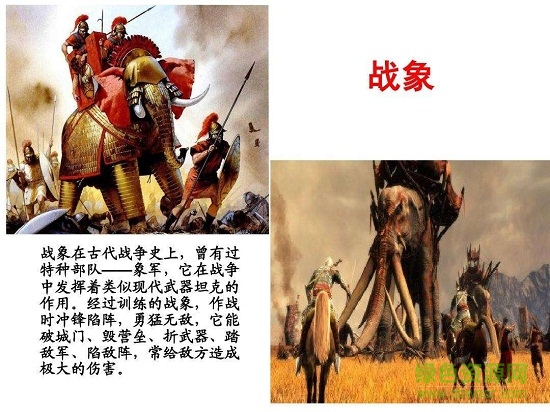 最后一头战象ppt完美版 0