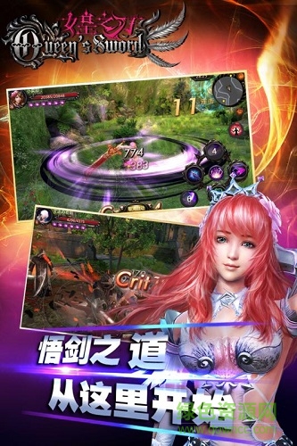 女皇之刃手游九游版 v2.0 安卓版2