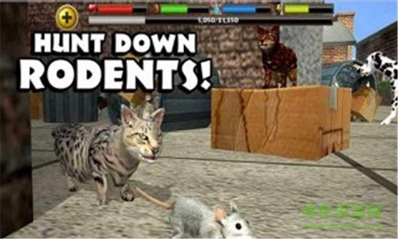 3D流浪猫模拟中文版 v2 安卓汉化版0