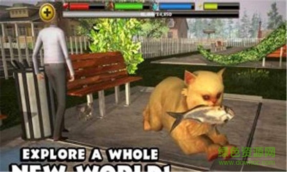 3D流浪猫模拟中文版 v2 安卓汉化版1