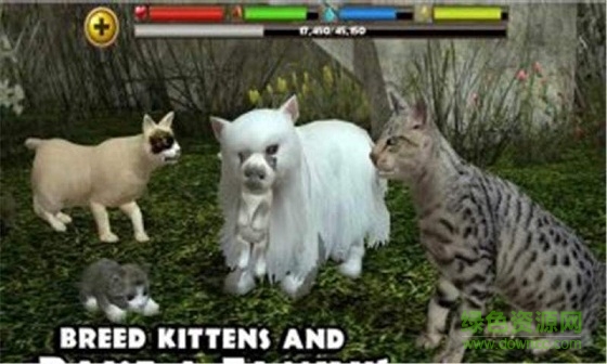 3D流浪猫模拟中文版 v2 安卓汉化版2