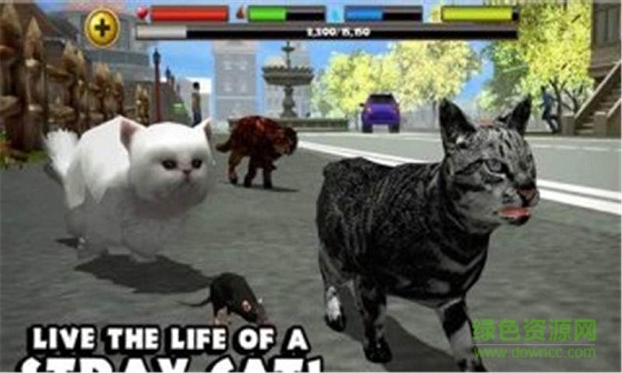 3D流浪猫模拟中文版 v2 安卓汉化版3