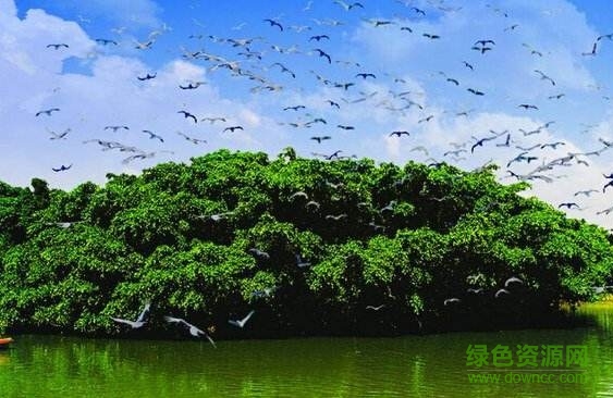 鸟的天堂教案ppt课件 0