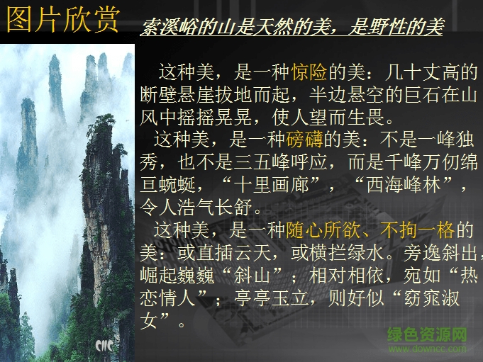 索溪峪的野教案 完美版0