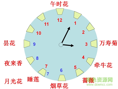 花钟ppt优质课 0