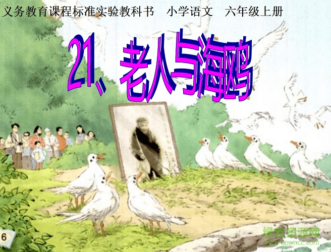 老人与海鸥ppt课件 完美版0