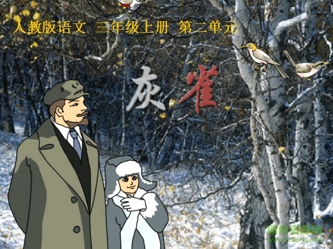 灰雀ppt课件公开课 0