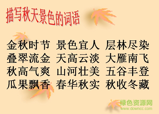 秋天的雨ppt课件