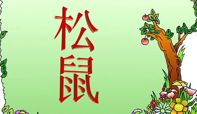 松鼠ppt课件完美版