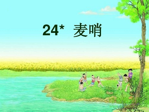 麦哨ppt课件免费 0