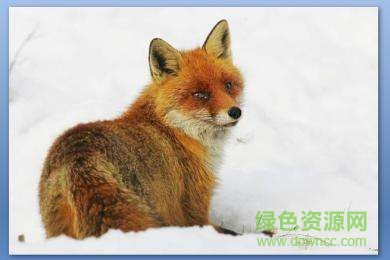 金色的脚印ppt完美版 0