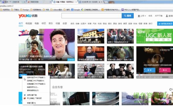 4.jpg 维棠flv for mac