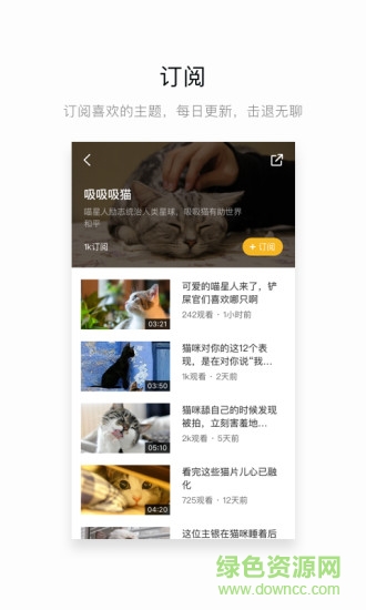 网易菠萝视频app 网易菠萝视频