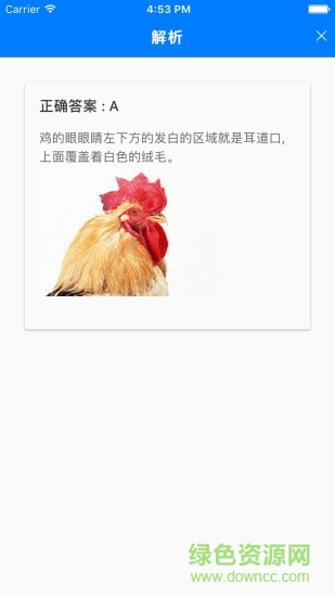 趣味答题app 趣味答题app