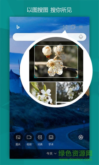 微软bing搜索国际版 v21.4.390628302 安卓版1