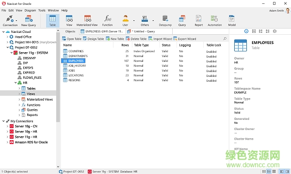 navicat for oracle中文正式版 v12.0 免费试用版_64/32位0