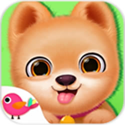 我的心动小狗完整版