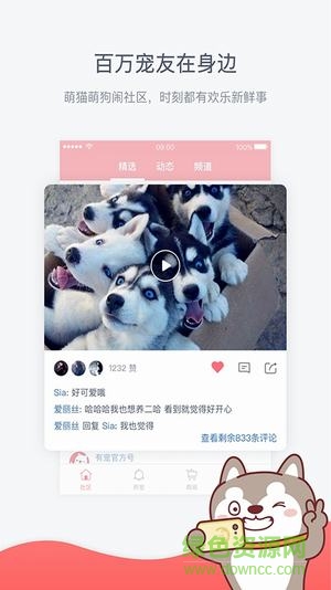 共享宠物手机版(有宠) v4.2.0 安卓版0