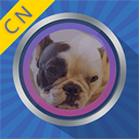 变脸魔镜手机版