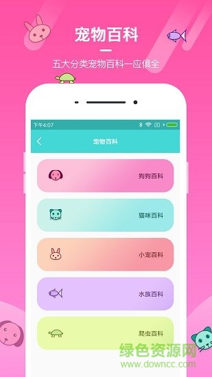 宠物社区app v1.0 安卓版0