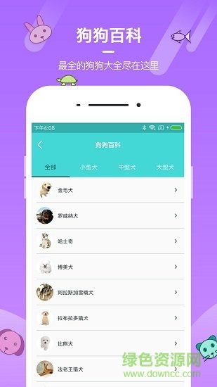宠物社区app v1.0 安卓版1