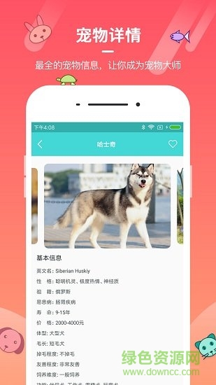 宠物社区app v1.0 安卓版2