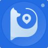 盯盯拍车机版app