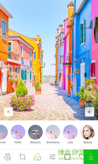 aillis相机ios版 v15.1.2 iphone手机版1