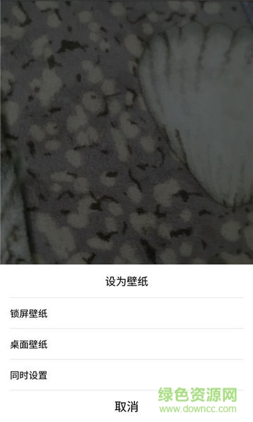 一键透明屏幕app(全局透明屏幕) v2.1 安卓版1