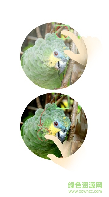 努比亚z17mini相机(nubia 相机) v1.0.42 安卓版0