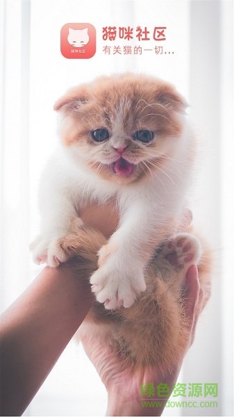 猫咪社区 v1.0.15 安卓版0