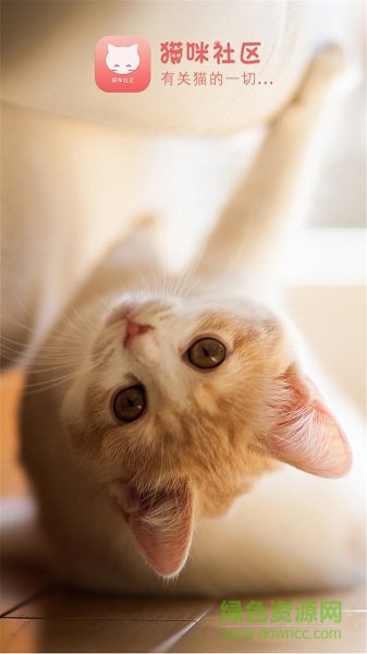 猫咪社区 v1.0.15 安卓版1