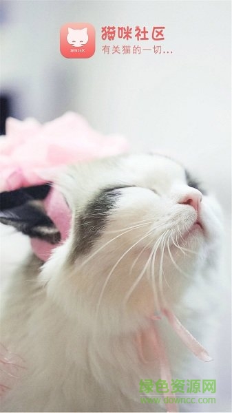 猫咪社区 v1.0.15 安卓版2