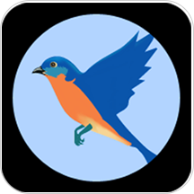 自然观察app下载